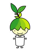 リーフィンクル