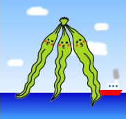 コンブラザーズ